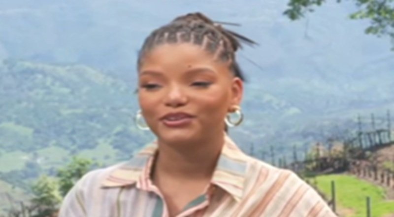 Halle Bailey recently spoke with Black Girl Nerds ahead of her new movie. "You, Me, & Tuscany" premieres on April 10. A couple of days ago, Halle discussed the film and she spoke on turning 25 years old and this being her "reset year."